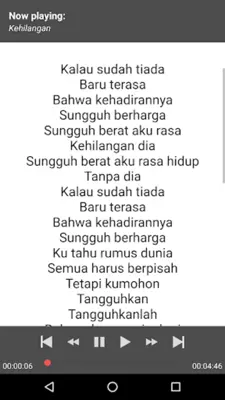 Lagu Dangdut Rhoma Irama Offline + Lirik android App screenshot 2